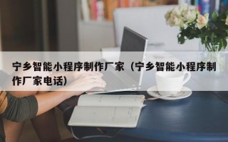 高唐宁乡智能小程序制作厂家（宁乡智能小程序制作厂家电话）