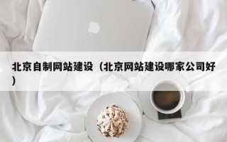 高唐北京自制网站建设（北京网站建设哪家公司好）